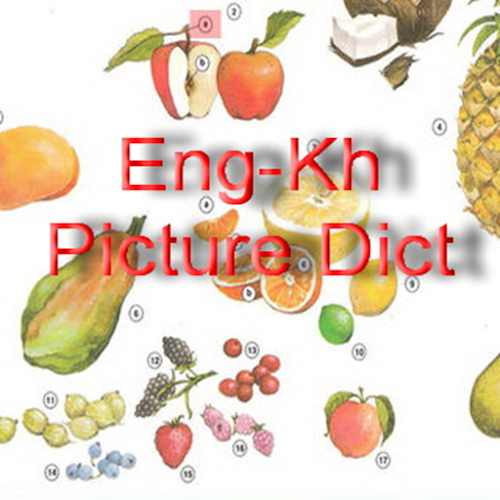 Android application Eng-Kh Picture Dict screenshort