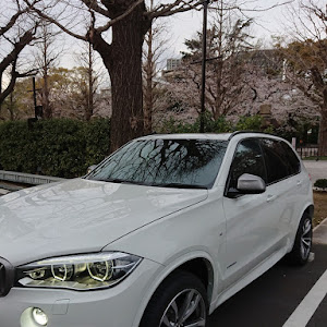 X5 F15