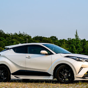 C-HR NGX50