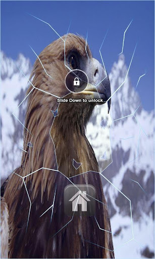 Snow Eagle Lock Screen