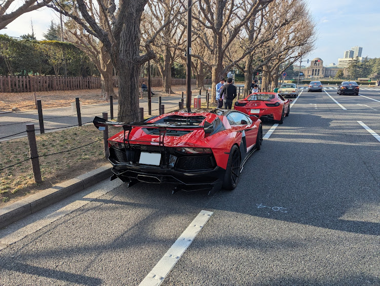 アヴェンタドールの一眼で撮ってもらった・458・ブリリアント・クライスジーク・フェラーリに関するカスタム事例の投稿画像2枚目