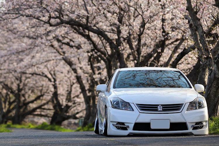 クラウンアスリートの桜シリーズ・サクラと愛車・エアサス#ACC・4月もよろしくお願い致します🌸・PickUpチャレンジに関するカスタム事例の投稿画像1枚目