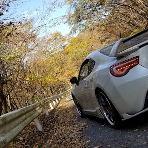 BRZ ZC6