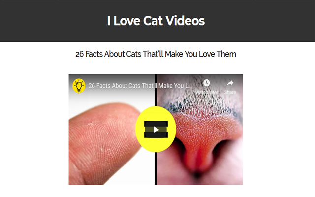ilovecats Preview image 5