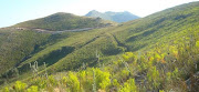 This is the Inyanda-Roodeplaat wind farm site in the Eastern Cape, taken from the cover of the Final Environmental Impact Report.