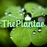 Cover Image of Unduh The Plantae 1.0.0.413 APK