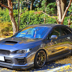 WRX STI VAB