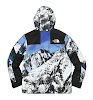 supreme the north face mountain parka