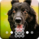 Download Black German Sheperd Dog Cute Puppy Lock Screen For PC Windows and Mac