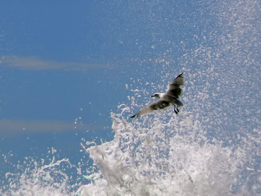 VOLO D'ACQUA di defluca