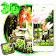 Beautiful Green Forest Fairy Theme icon