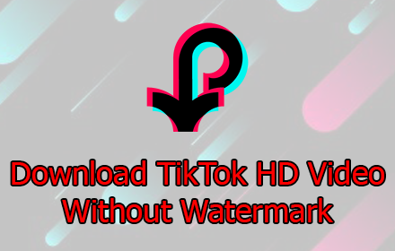 Tiktok Video Downloader small promo image