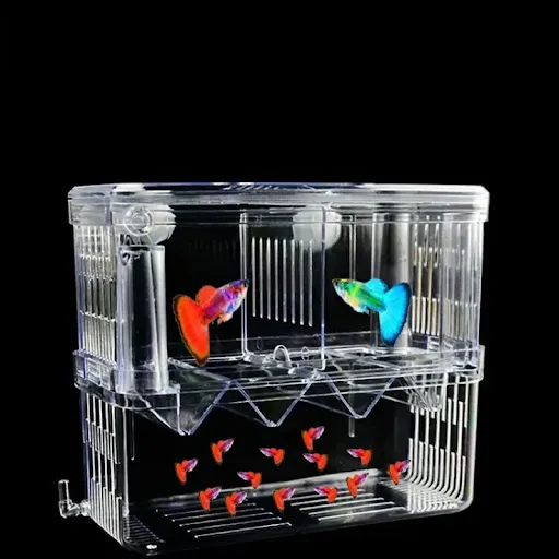 Acrylic Fish Breeder Box Breeding Isolation Box Fish Hatchery Divider Shrimp Clownfish Aggressive Fish Prevent Injured A