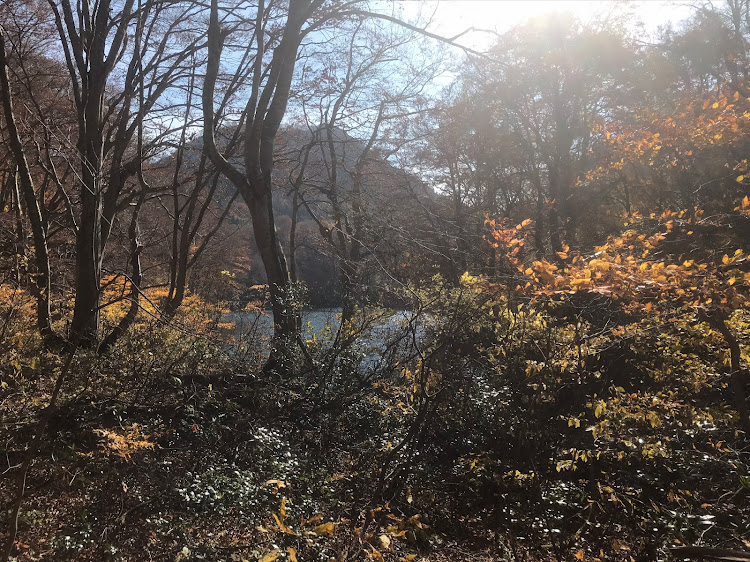 190シリーズの八木ケ鼻・吉ケ平地区・雨生ケ池・大蛇伝説・幻の八十里越街道に関するカスタム事例の投稿画像10枚目