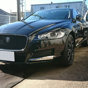 XF