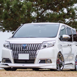 エスクァイア ZWR80G