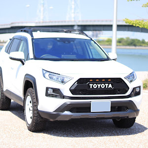 RAV4 MXAA54