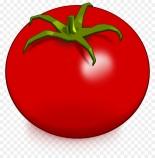Описание: Описание: https://img2.freepng.ru/20180323/dqe/kisspng-tomato-drawing-vegetable-clip-art-tomato-5ab51357c01f89.4002538715218164077869.jpg