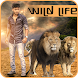 Wild Animal Photo Editor