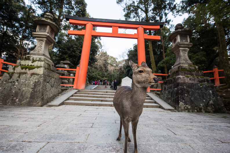 TRAVEL-JAPAN