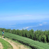 嘉義梅山二尖山休閒茶園