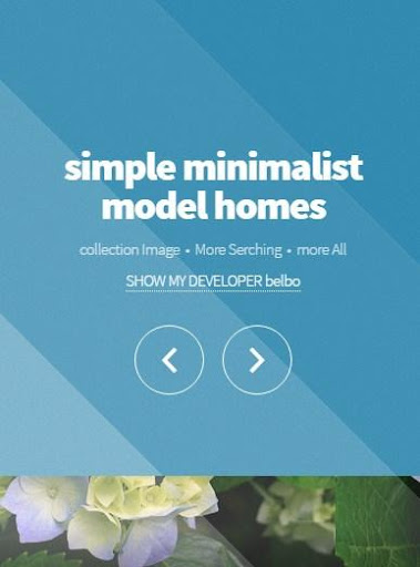 simple minimalist model homes