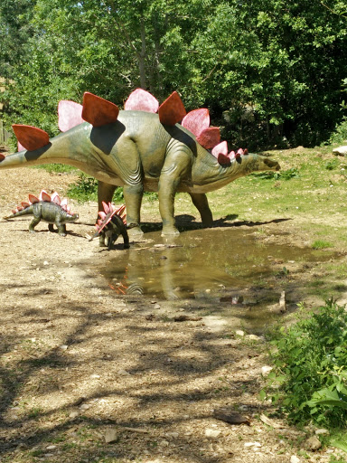 Stegosaurus