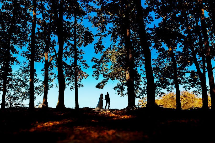 Fotógrafo de casamento Vasil Dochinec (vasilij33). Foto de 29 de novembro 2018