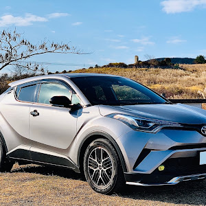 C-HR ZYX10