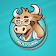 BullVPN  icon