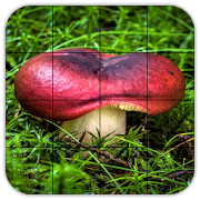  Tile Puzzles · Mushrooms 