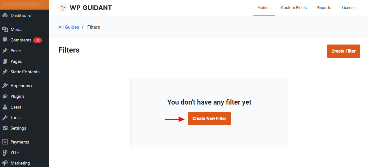 criar novo filtro guidant wp