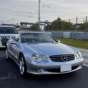 SL R230
