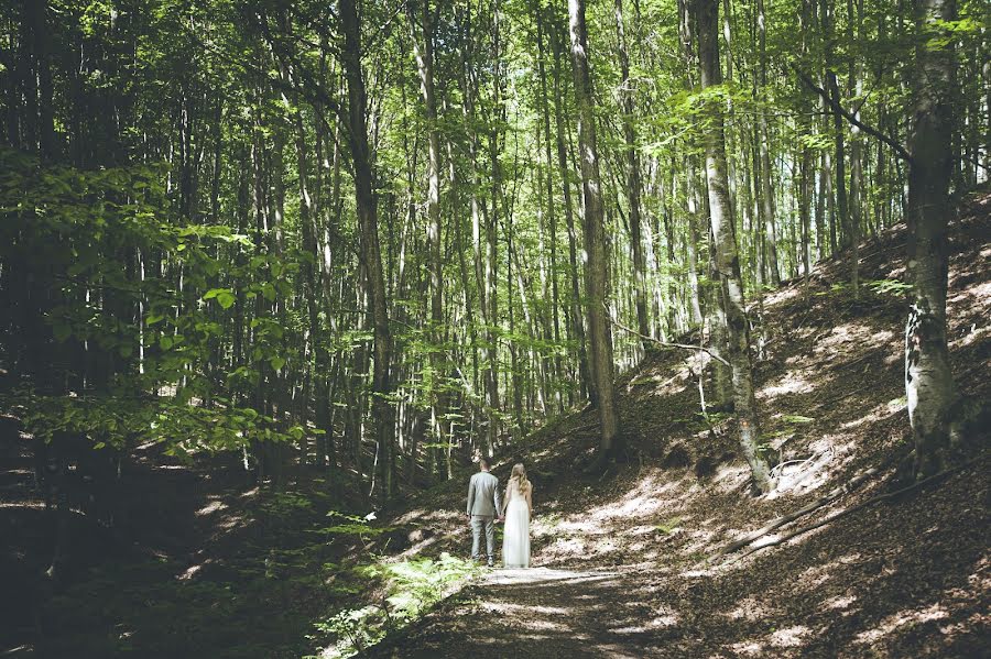 Photographe de mariage Marina Kosina (kosina). Photo du 8 mai 2015