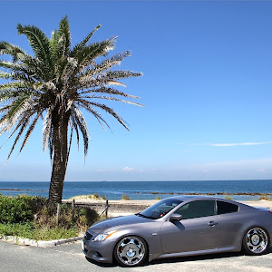 スカイラインクーペ CKV36