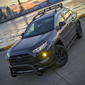 RAV4 MXAA54