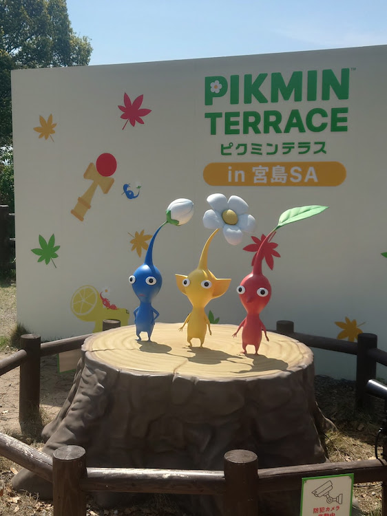 ヴェルファイアの広島岡山旅行・厳島神社・せり＆まる・お好み焼き和心・大長編に関するカスタム事例の投稿画像4枚目
