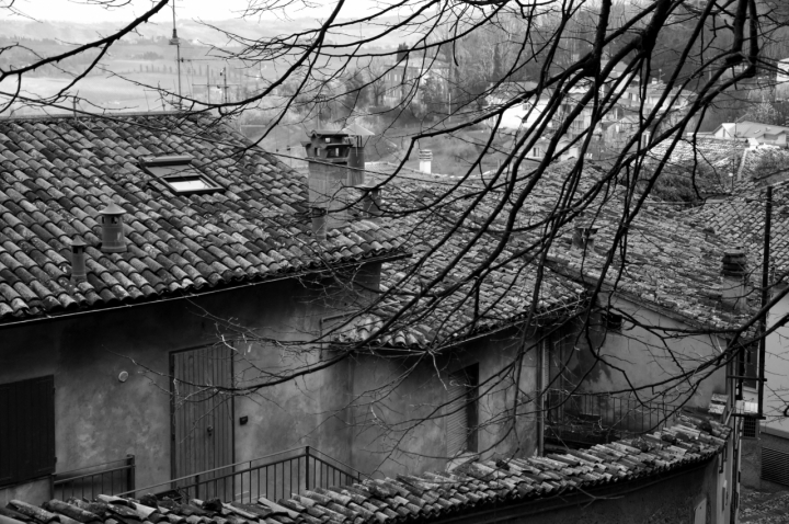 Berti in oro.... bertinoro di olmo