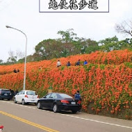 雙峰草堂-銅鑼燒 咖啡 下午茶