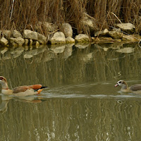 A spasso di Ludrea