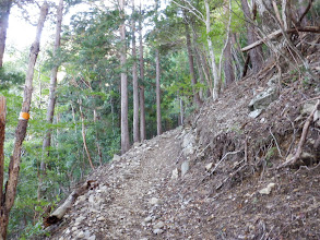 よく踏まれた道を登る