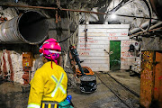 Mining houses are working closely with  government and organised labour to achieve Zero Harm./Waldo Swiegers / Getty Images