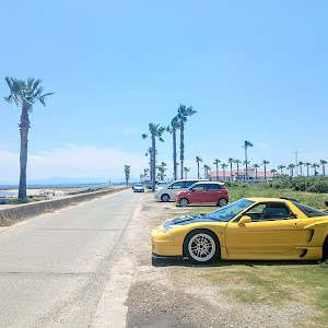 NSX NA1