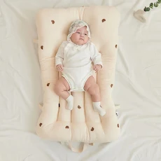 Đệm xách tay tiện dụng cho trẻ Rototo Bebe_ALADDIN