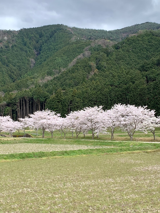 の投稿画像7枚目