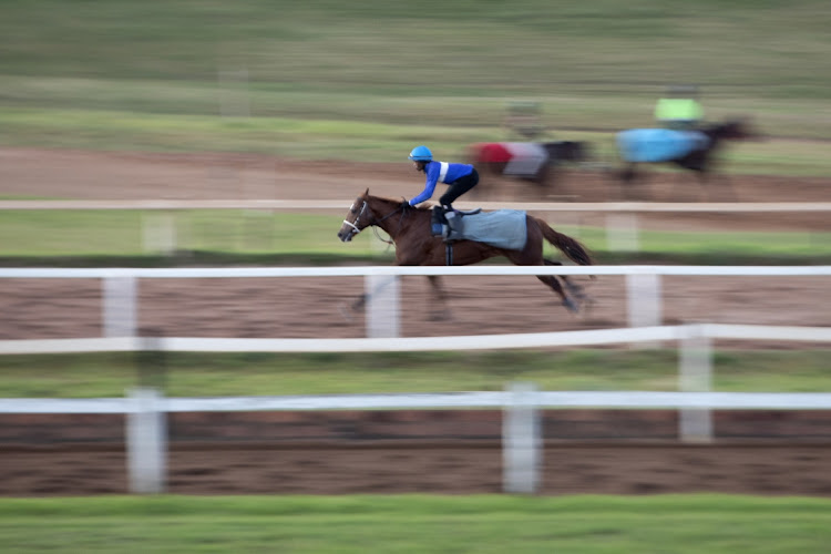 A horse with a speed will be trained on a short distance while the one with less speed will be trained on a long distance scale and that requires a lot of stamina.