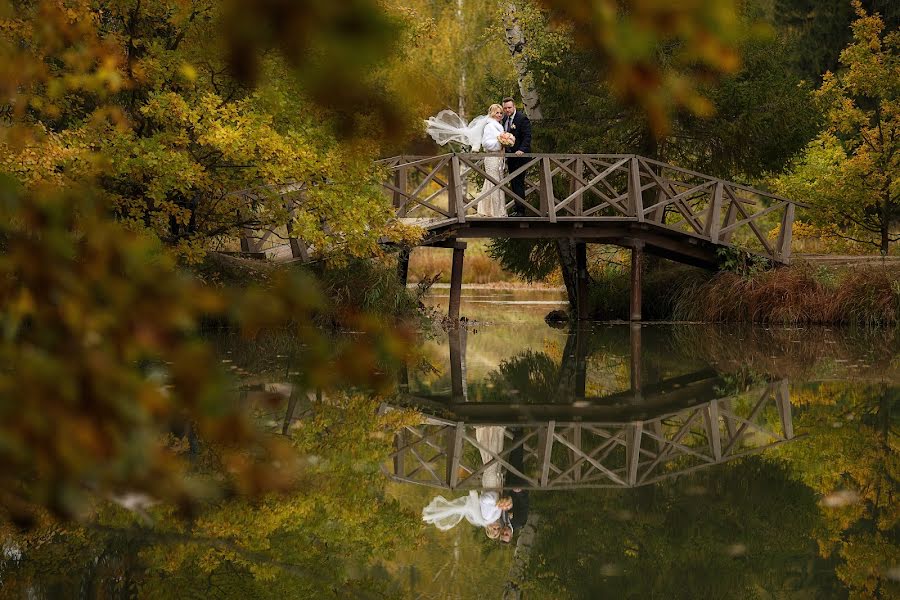 Fotografo di matrimoni Elena Bogdanova (elenabo). Foto del 28 novembre 2016