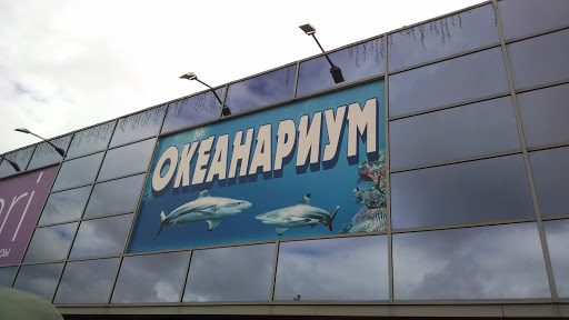 Пензенский океанариум