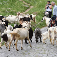 PASCOLO APPIA ANTICA di 