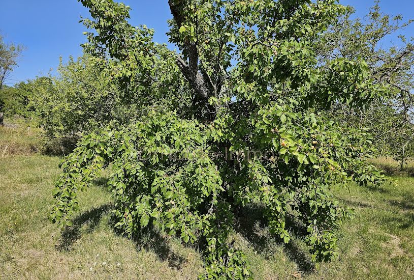  Vente Terrain agricole - à Gannat (03800) 